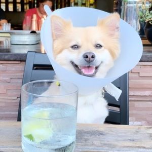 Meet your Posher, Isabel